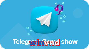 winvnd