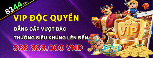 Hình ảnh quảng cáo của winvnd hiển thị nền tảng và các lợi ích