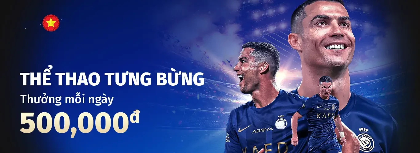 Hình ảnh quảng cáo của winvnd hiển thị nền tảng và các lợi ích