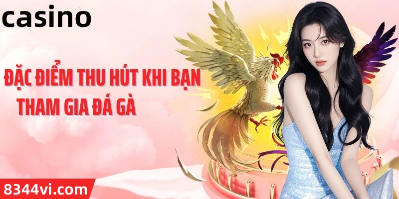 Hình ảnh quảng cáo của winvnd hiển thị nền tảng và các lợi ích