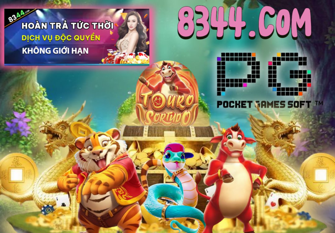 Hình ảnh quảng cáo của winvnd hiển thị nền tảng và các lợi ích