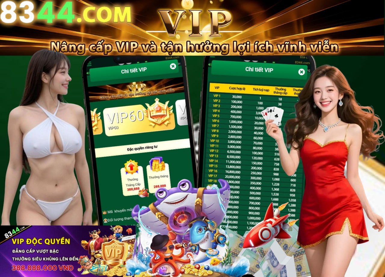 Hình ảnh quảng cáo của winvnd hiển thị nền tảng và các lợi ích