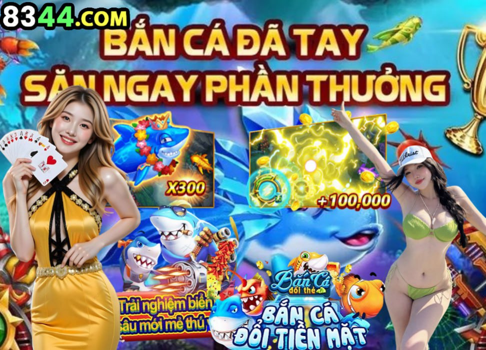 Hình ảnh quảng cáo của winvnd hiển thị nền tảng và các lợi ích